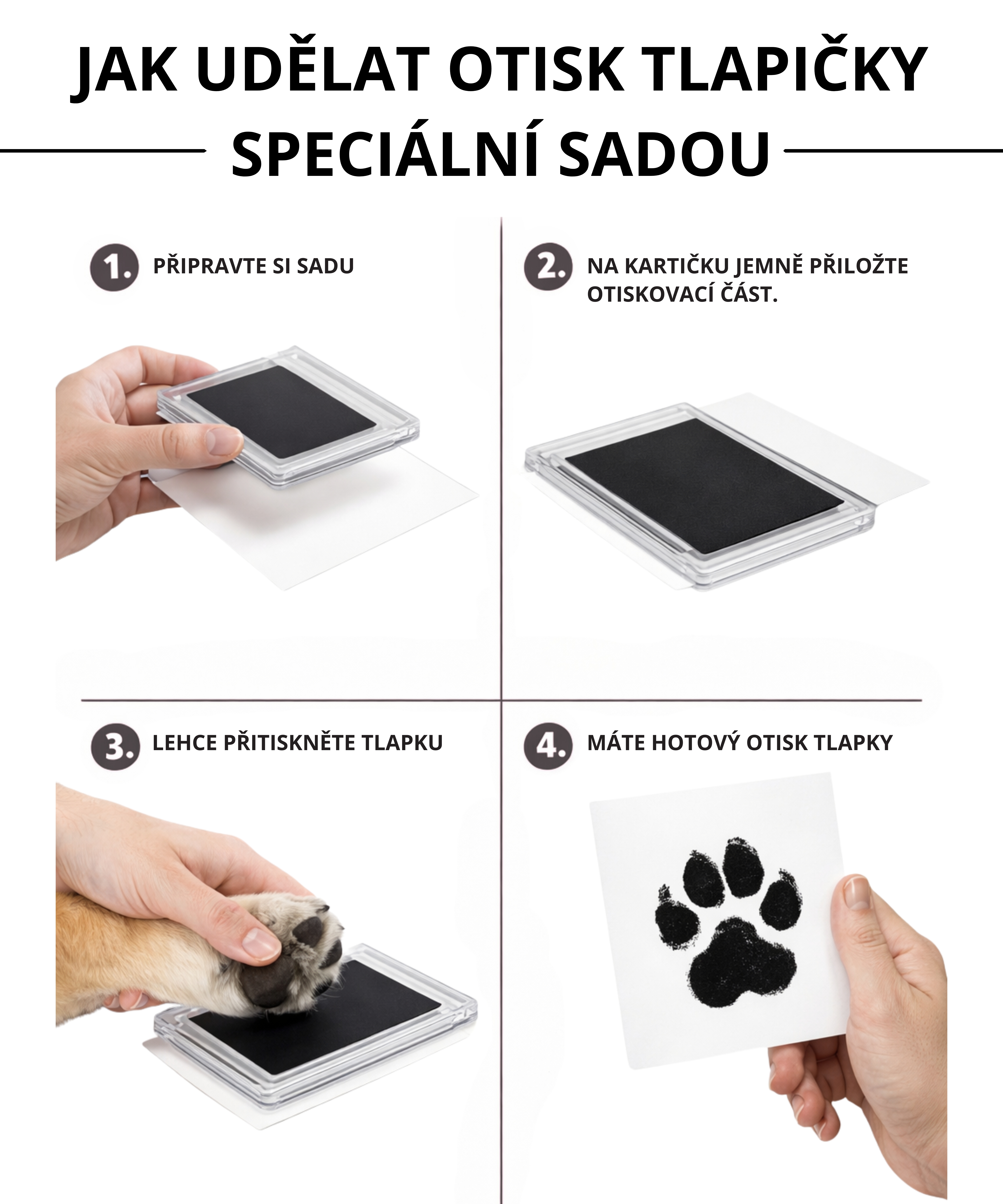 Jak udělat otisk tlapky speciální sadou